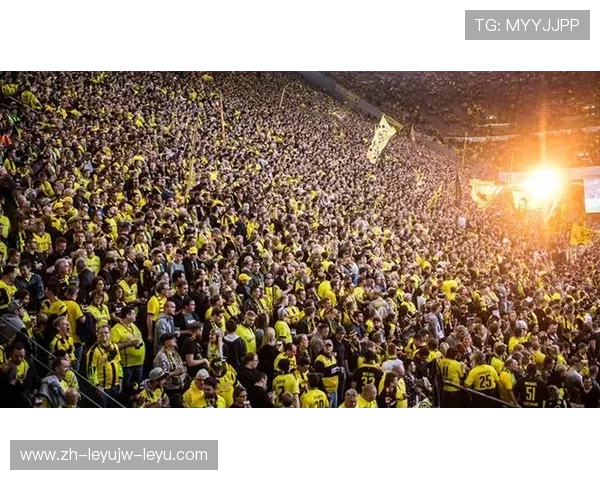 德甲球队上座人数统计及主场氛围分析