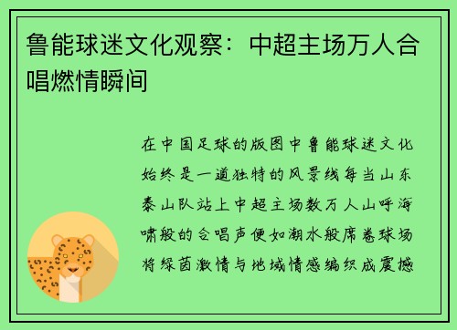 鲁能球迷文化观察：中超主场万人合唱燃情瞬间