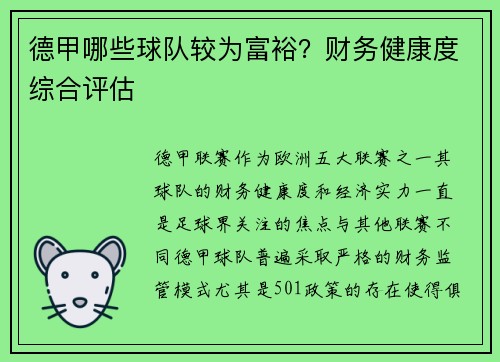 德甲哪些球队较为富裕？财务健康度综合评估